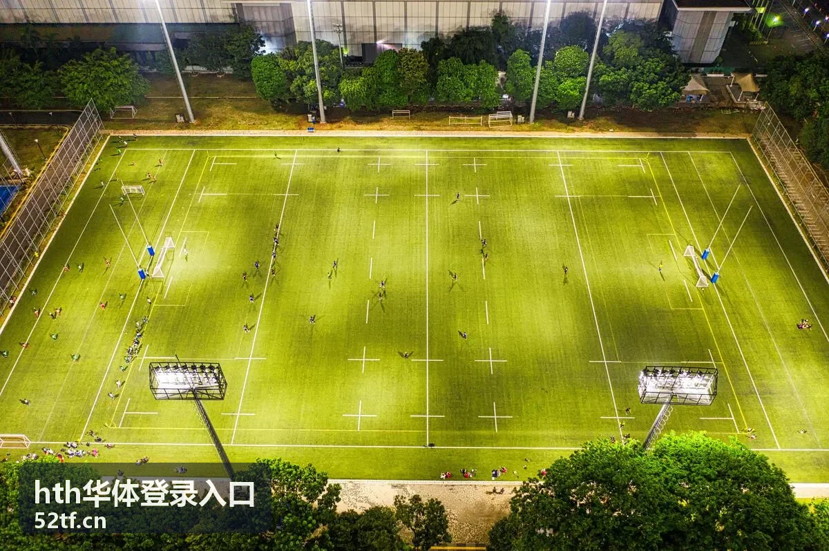 hth华体登录入口账号安全建议