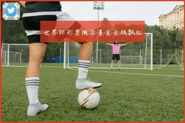 世界杯彩票概念基金全线飘红