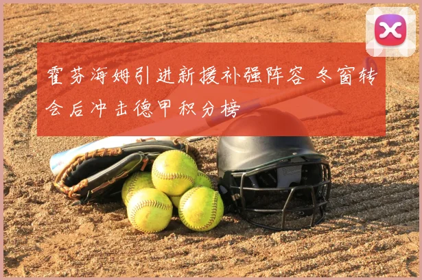 霍芬海姆引进新援补强阵容 冬窗转会后冲击德甲积分榜