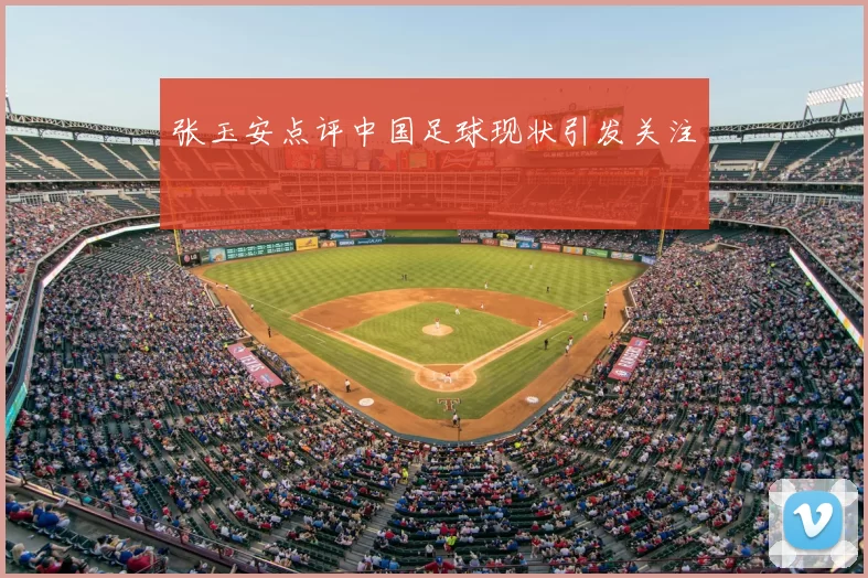 张玉安点评中国足球现状引发关注