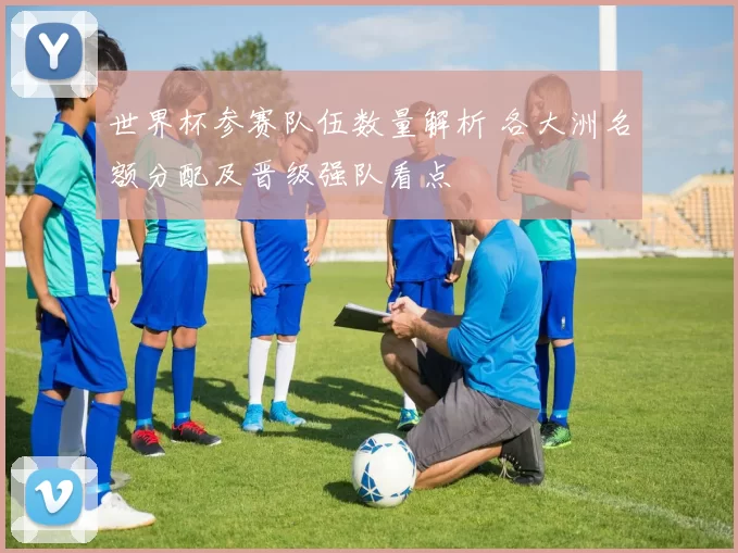 世界杯参赛队伍数量解析 各大洲名额分配及晋级强队看点