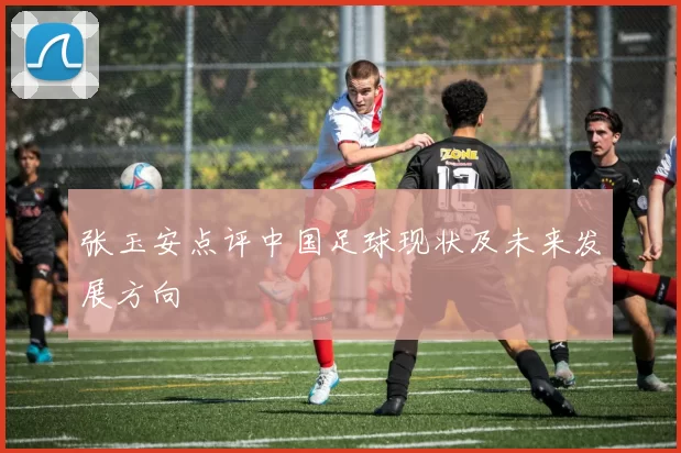 张玉安点评中国足球现状及未来发展方向