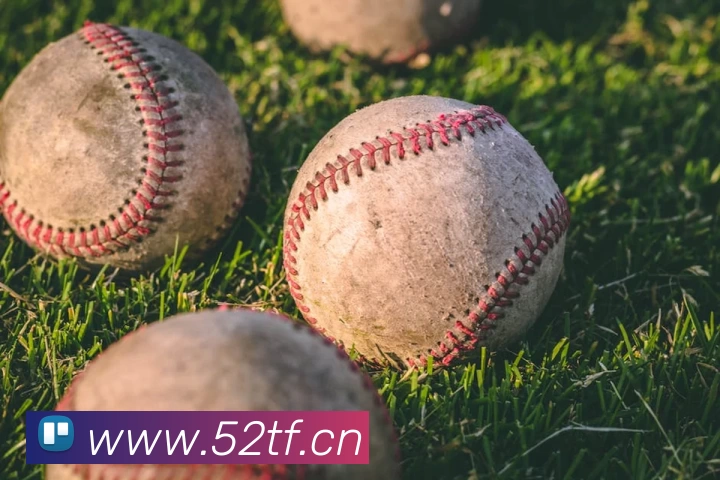 8866体育app下载官网(中国) - 唯一官方网站平台生态图